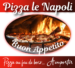 pizza-lenapoli.fr